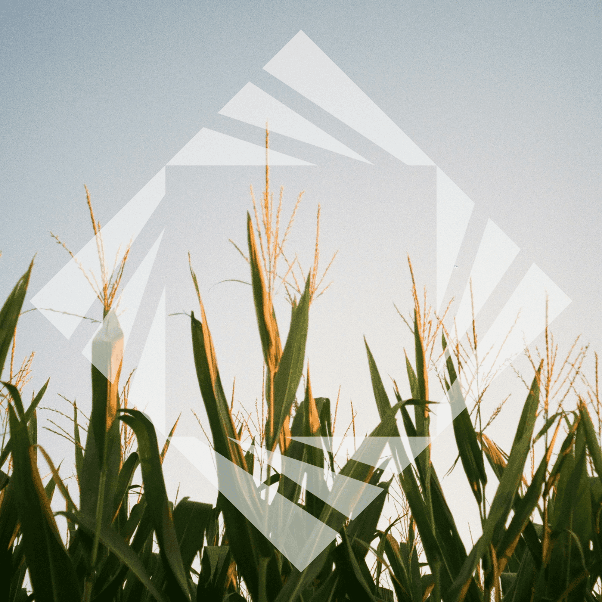 Stock photo with logo zeminvest