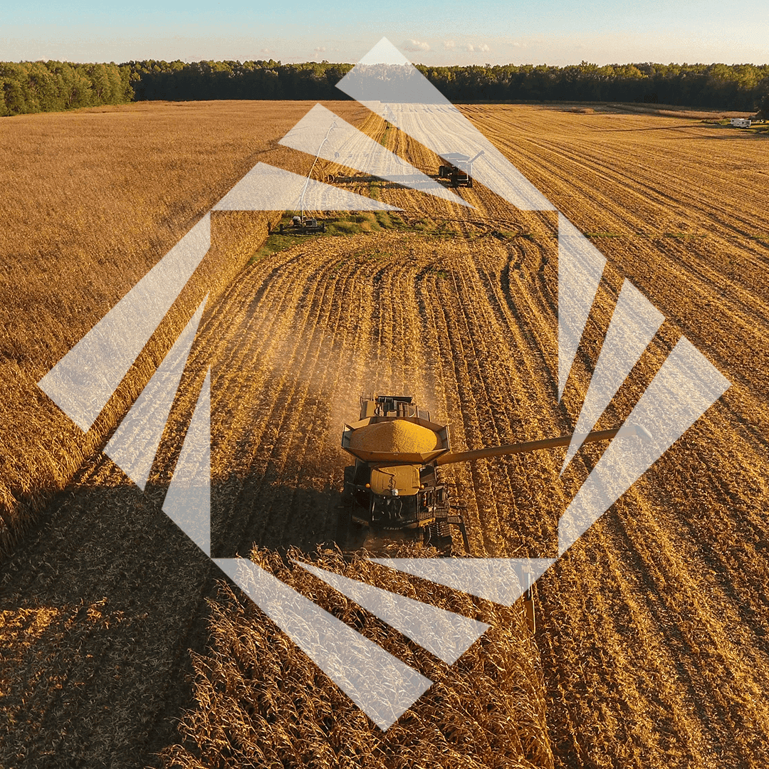 Stock photo with logo zeminvest