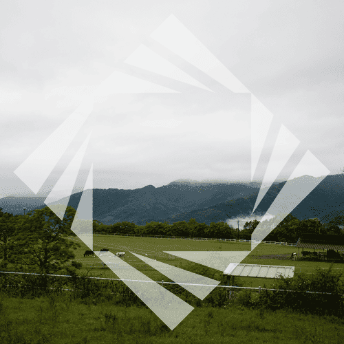 Stock photo with logo zeminvest