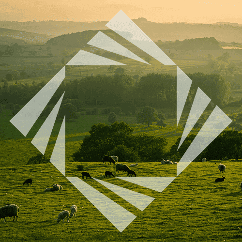 Stock photo with logo zeminvest