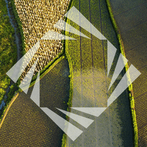 Stock photo with logo zeminvest