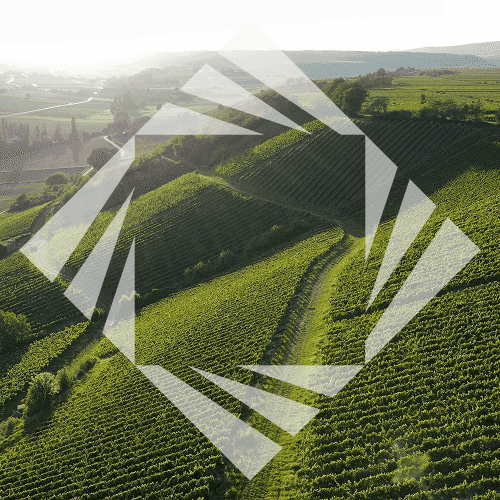 Stock photo with logo zeminvest