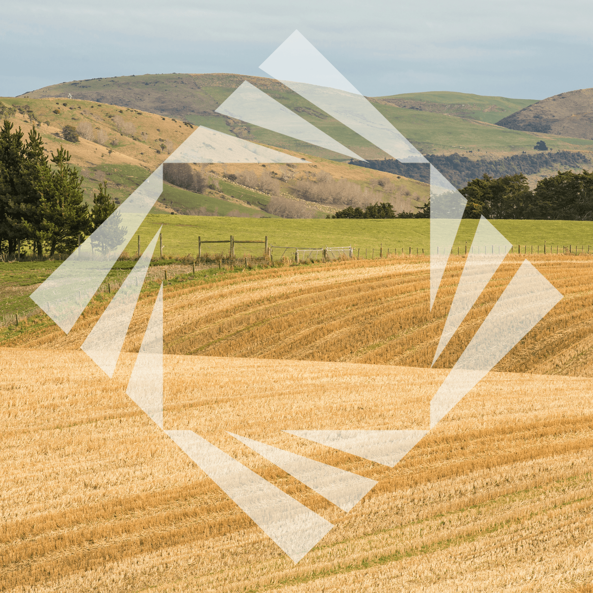 Stock photo with logo zeminvest