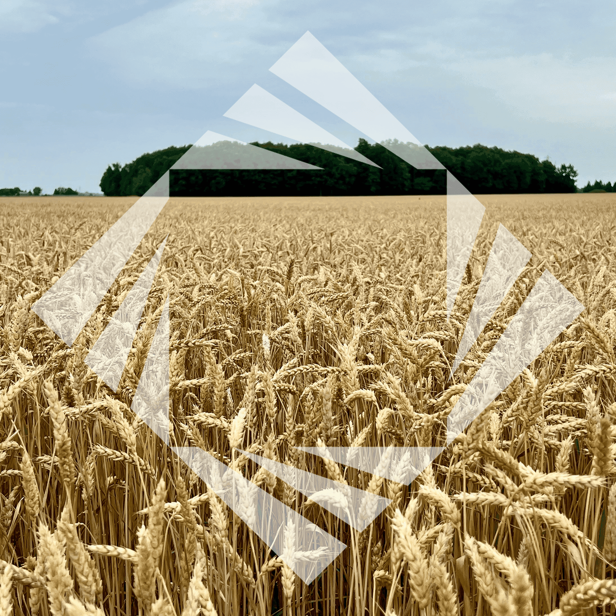 Stock photo with logo zeminvest