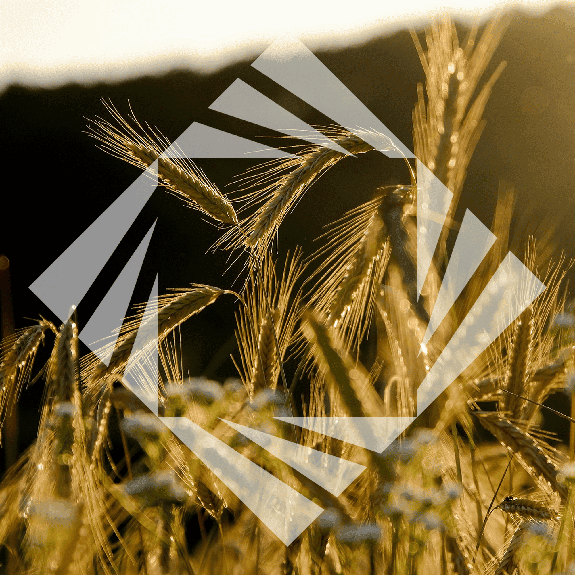 Stock photo with logo zeminvest