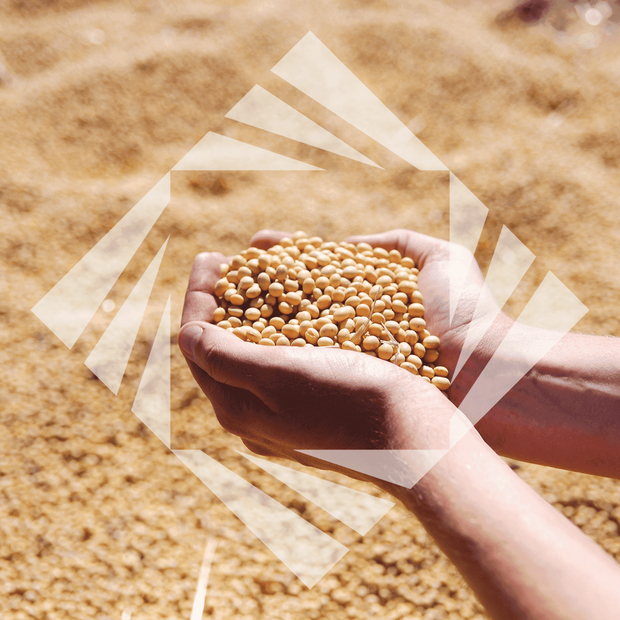 Stock photo with logo zeminvest