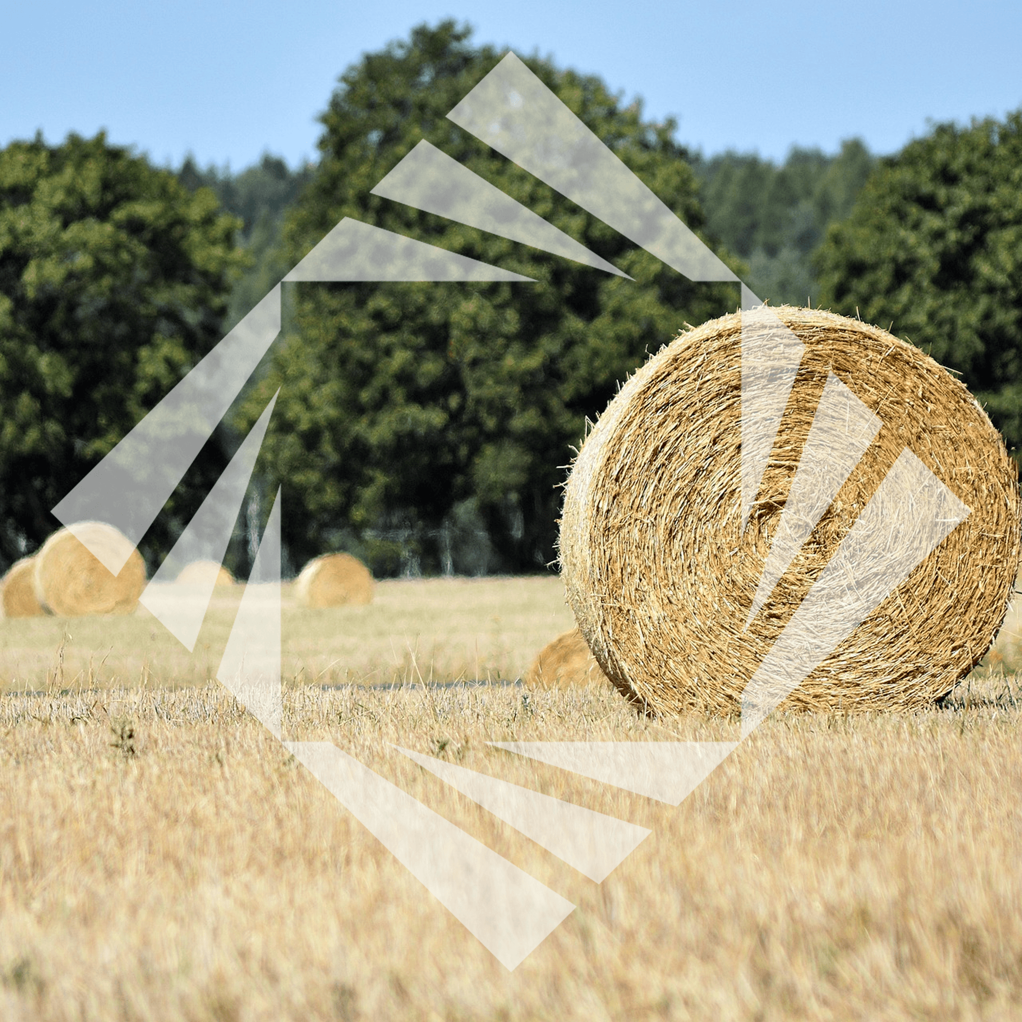 Stock photo with logo zeminvest