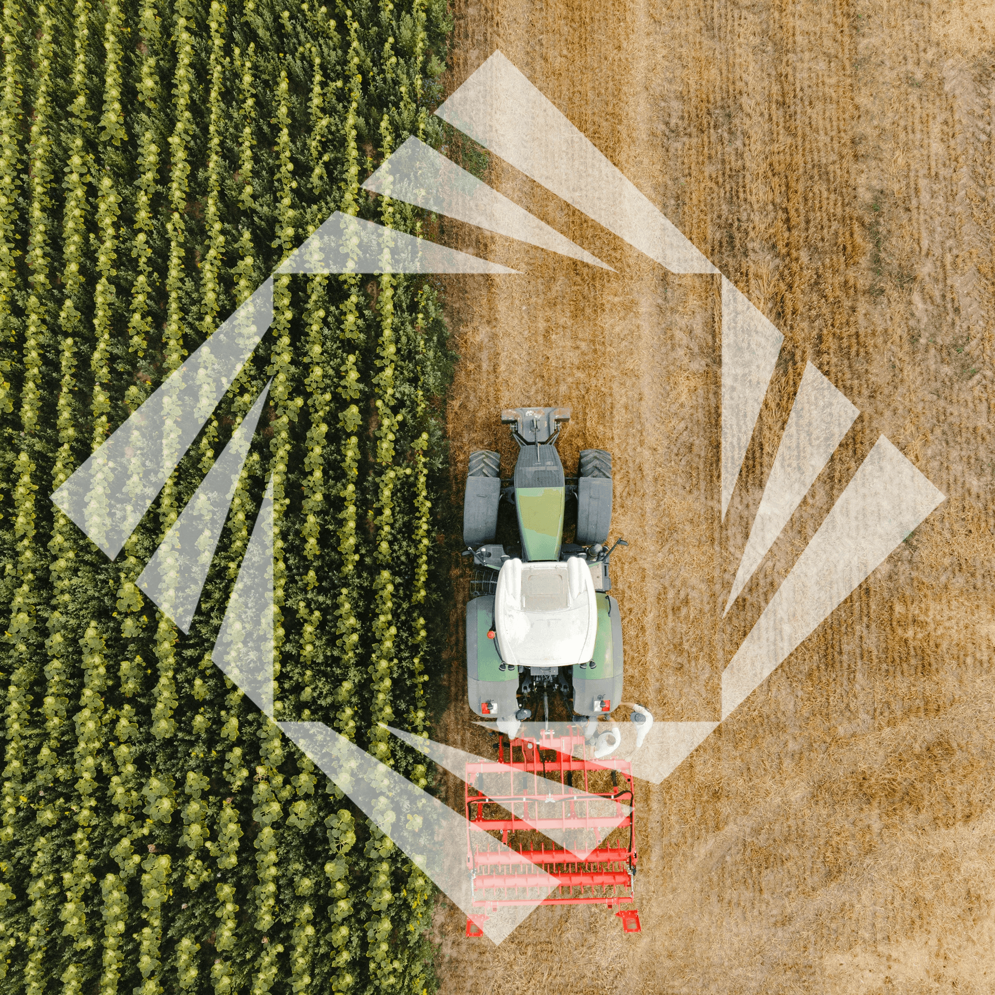 Stock photo with logo zeminvest