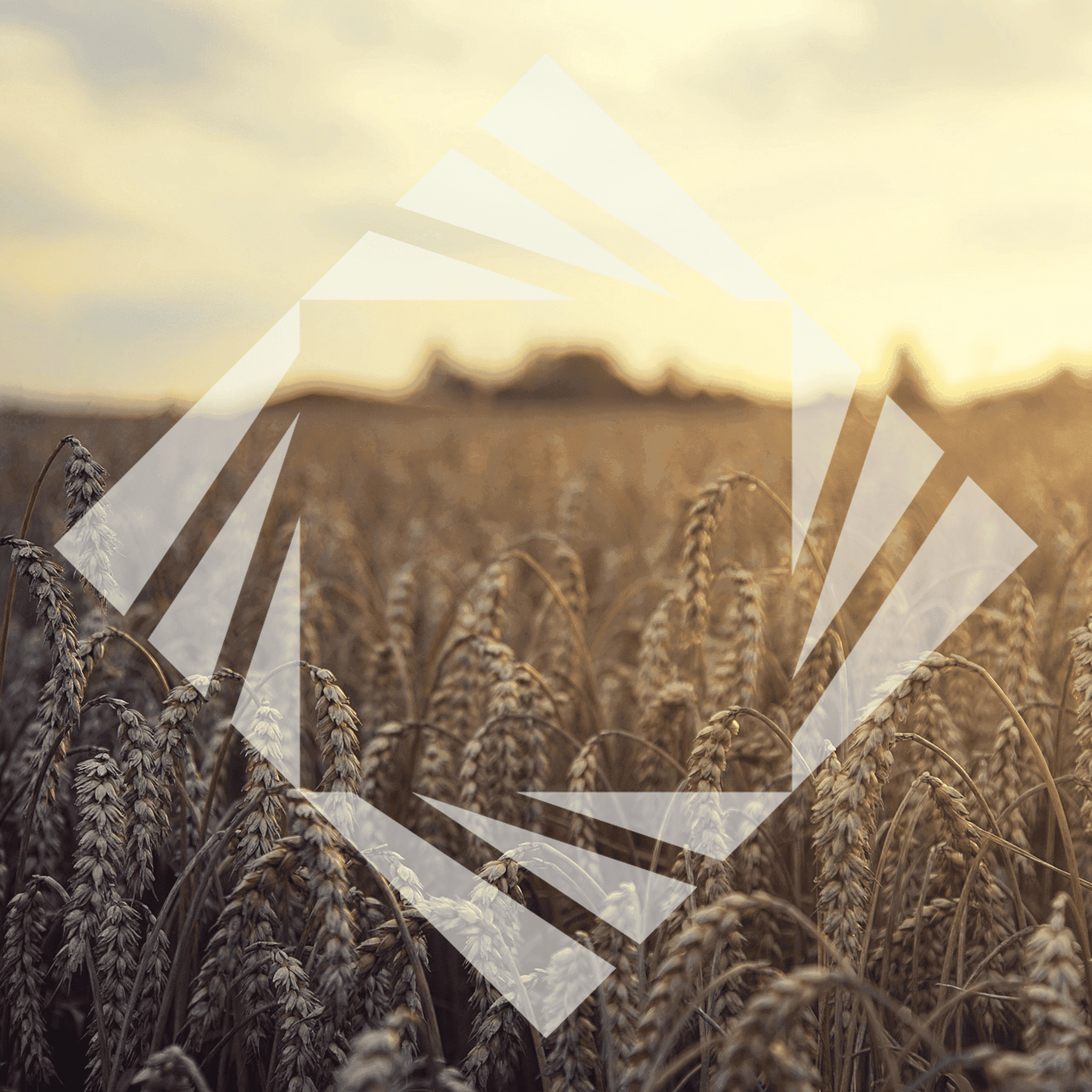 Stock photo with logo zeminvest