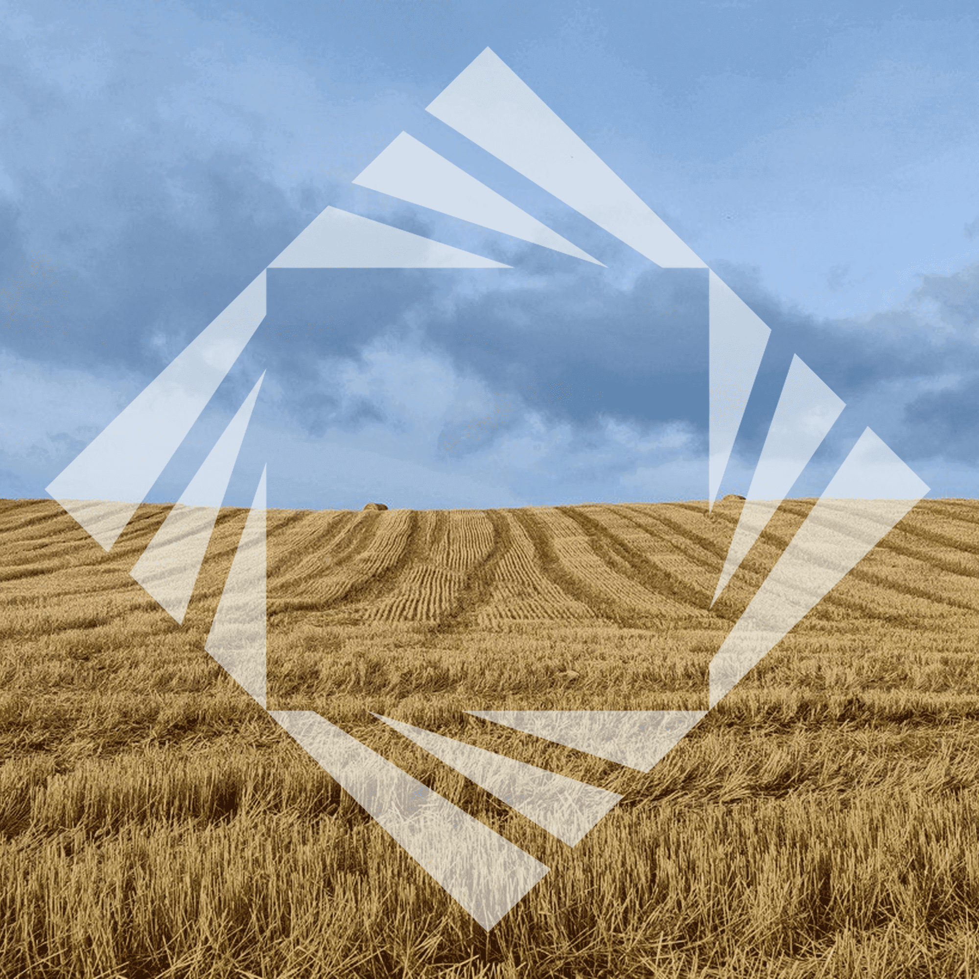 Stock photo with logo zeminvest