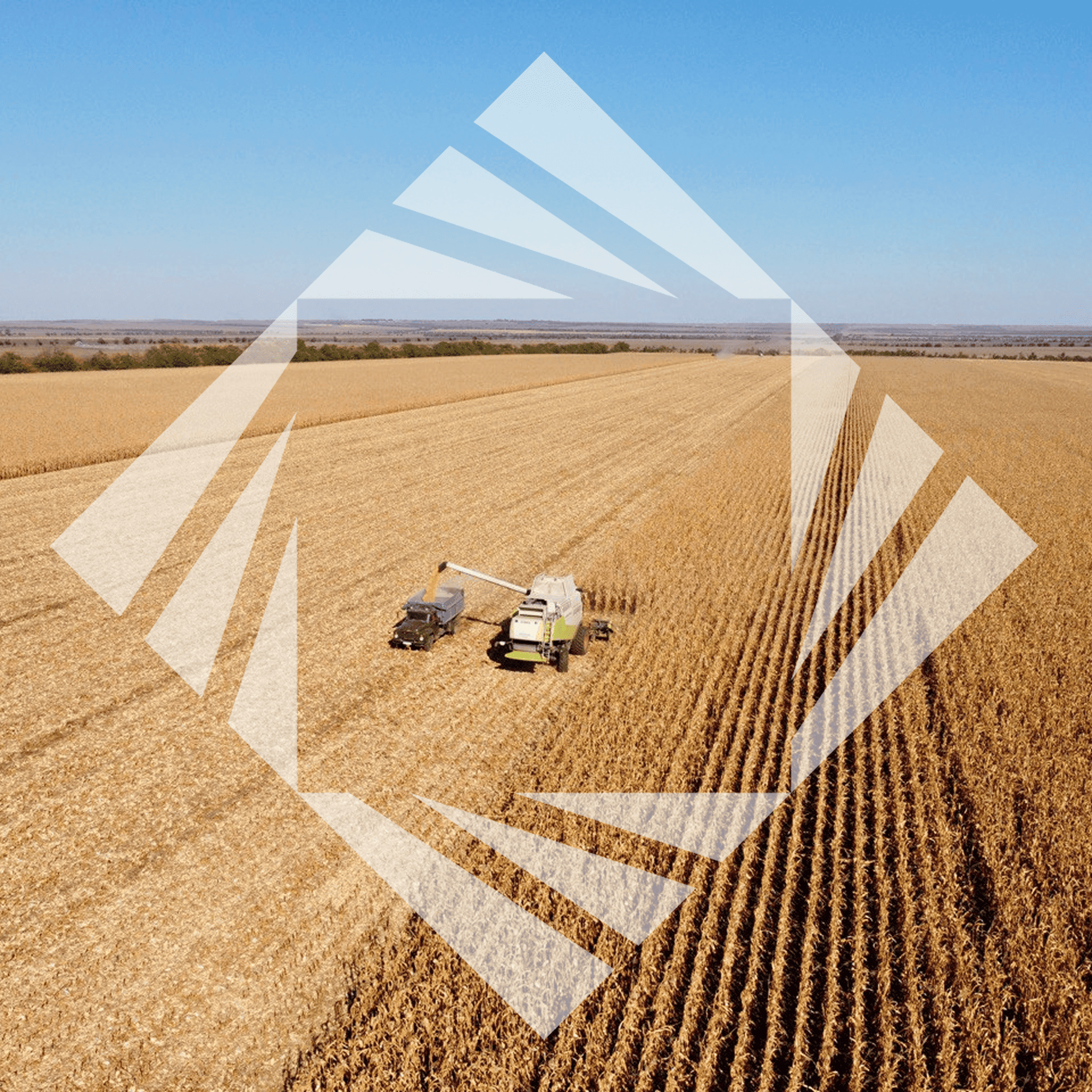 Stock photo with logo zeminvest