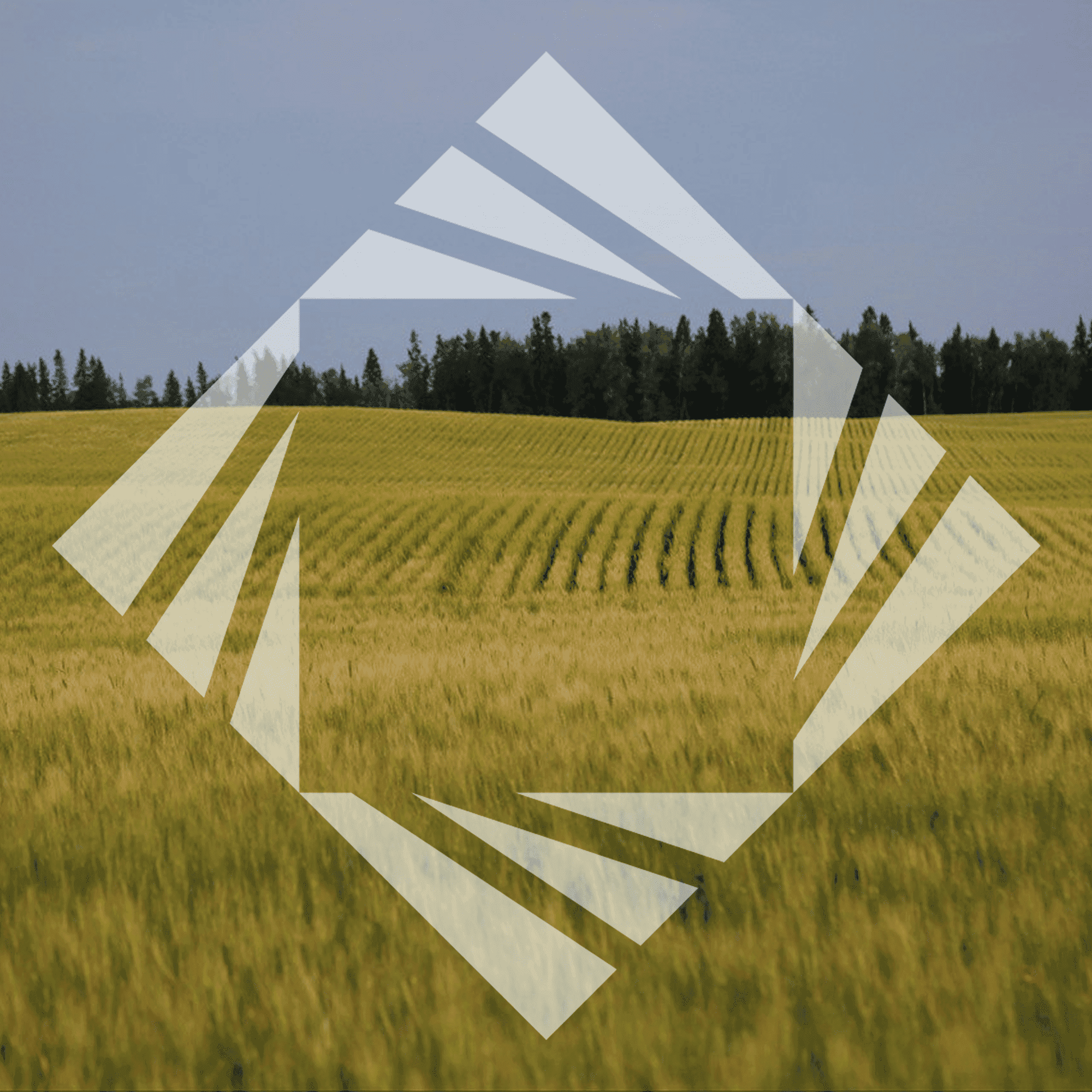 Stock photo with logo zeminvest