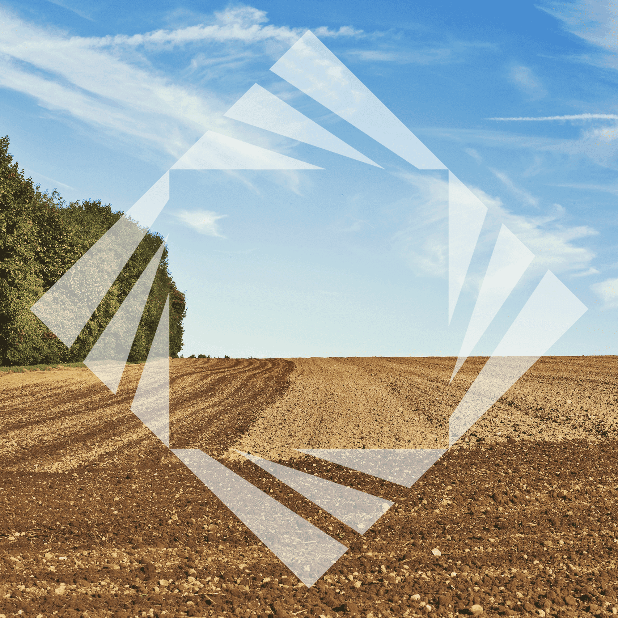 Stock photo with logo zeminvest