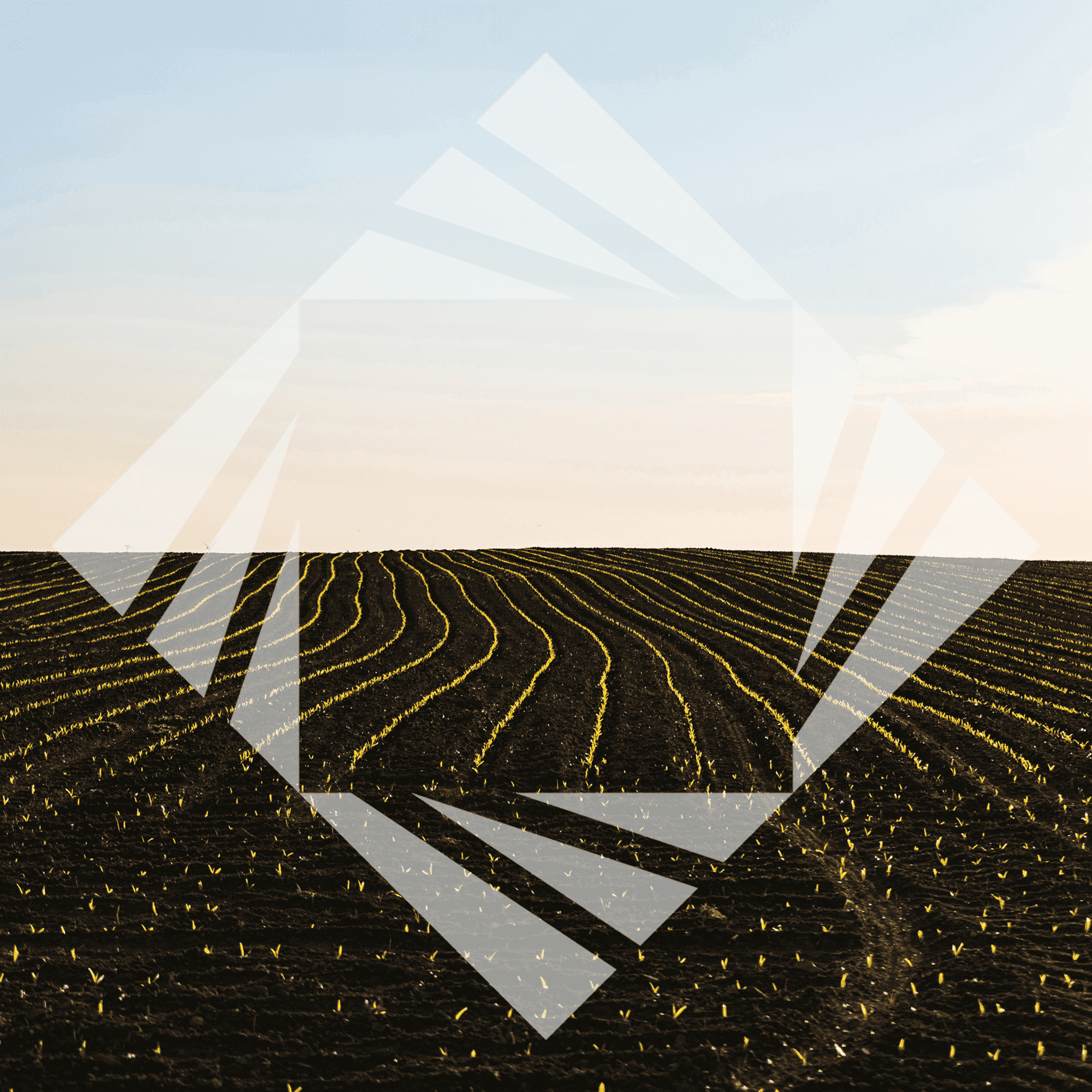 Stock photo with logo zeminvest