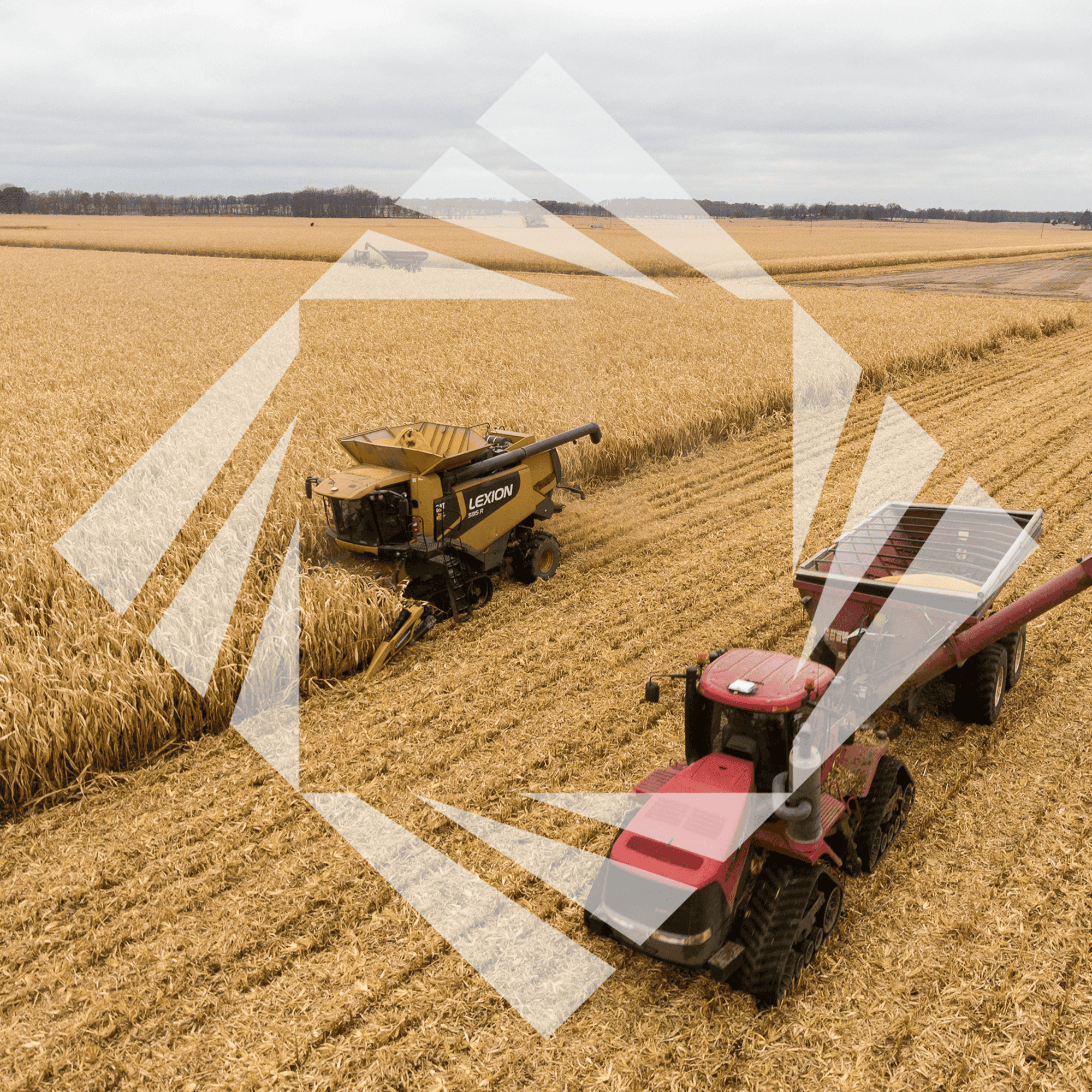 Stock photo with logo zeminvest