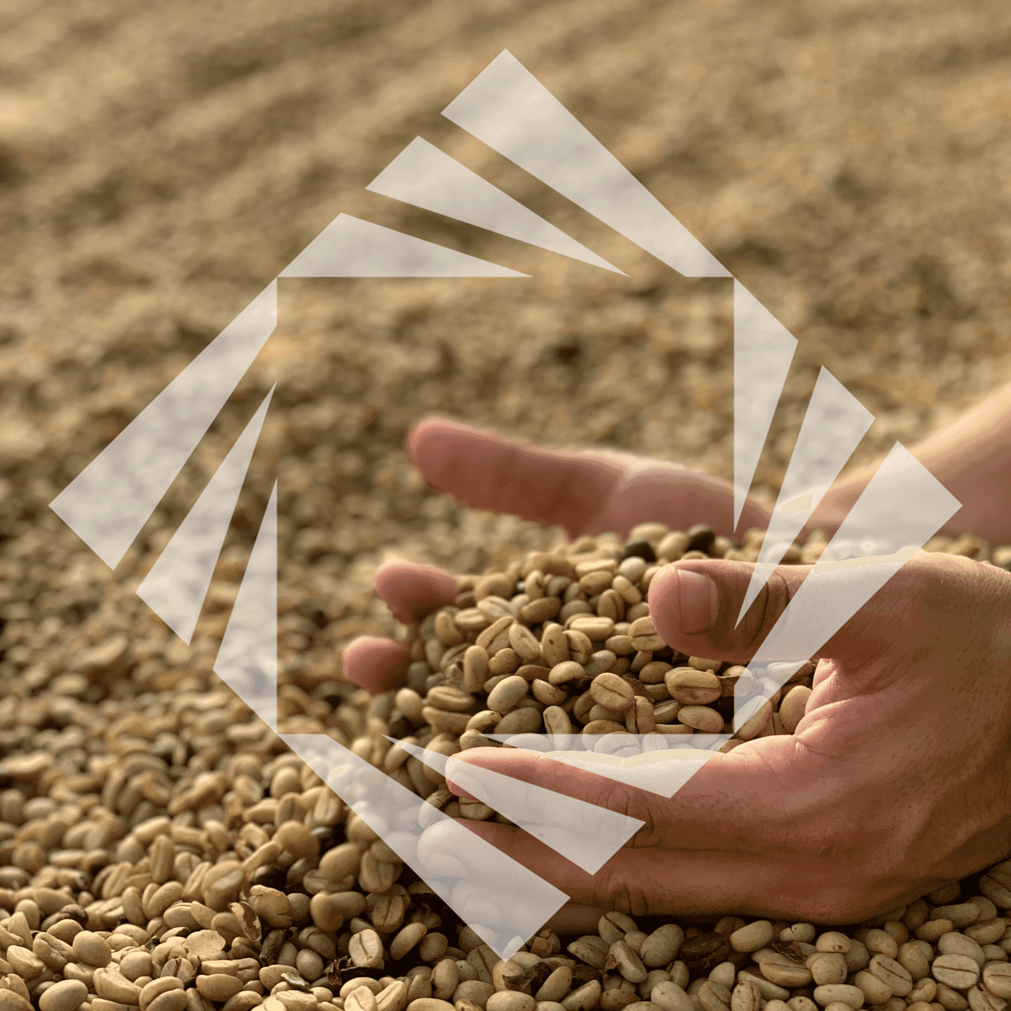 Stock photo with logo zeminvest