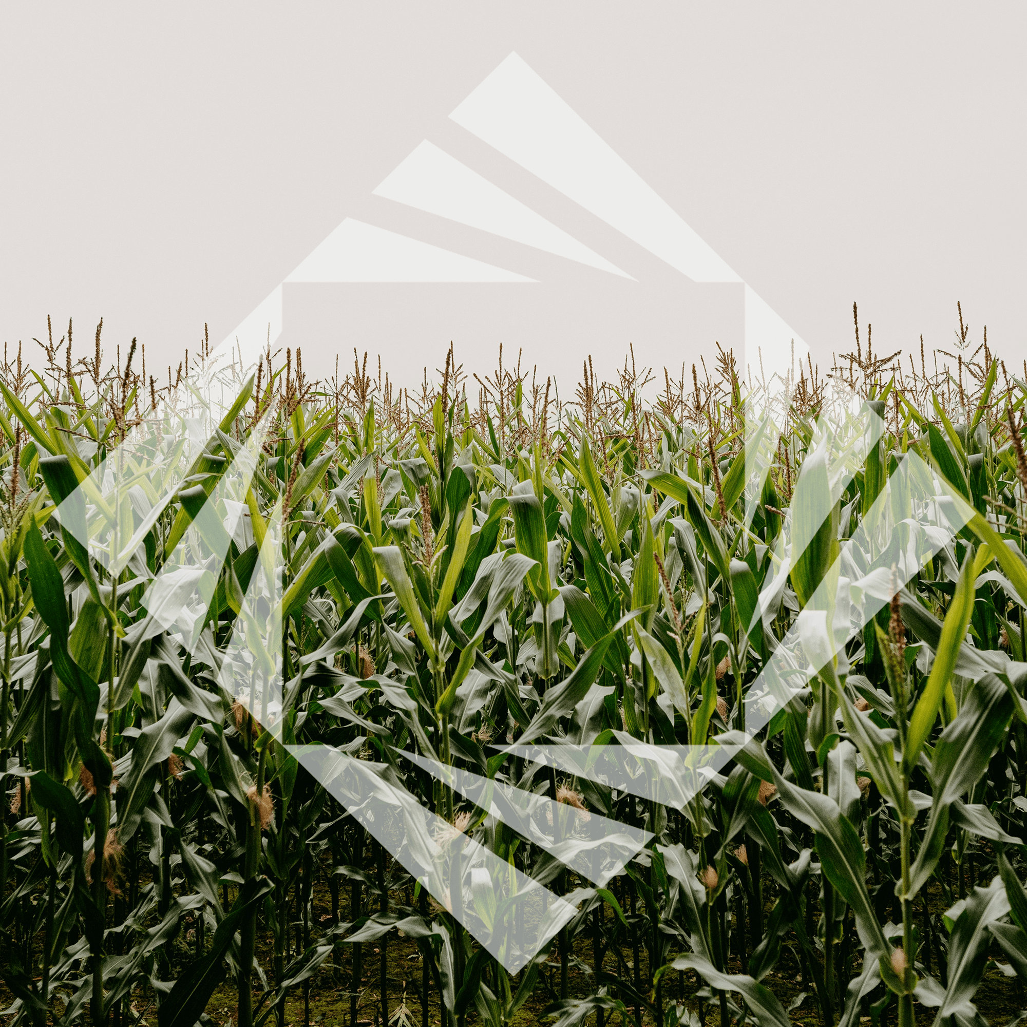 Stock photo with logo zeminvest