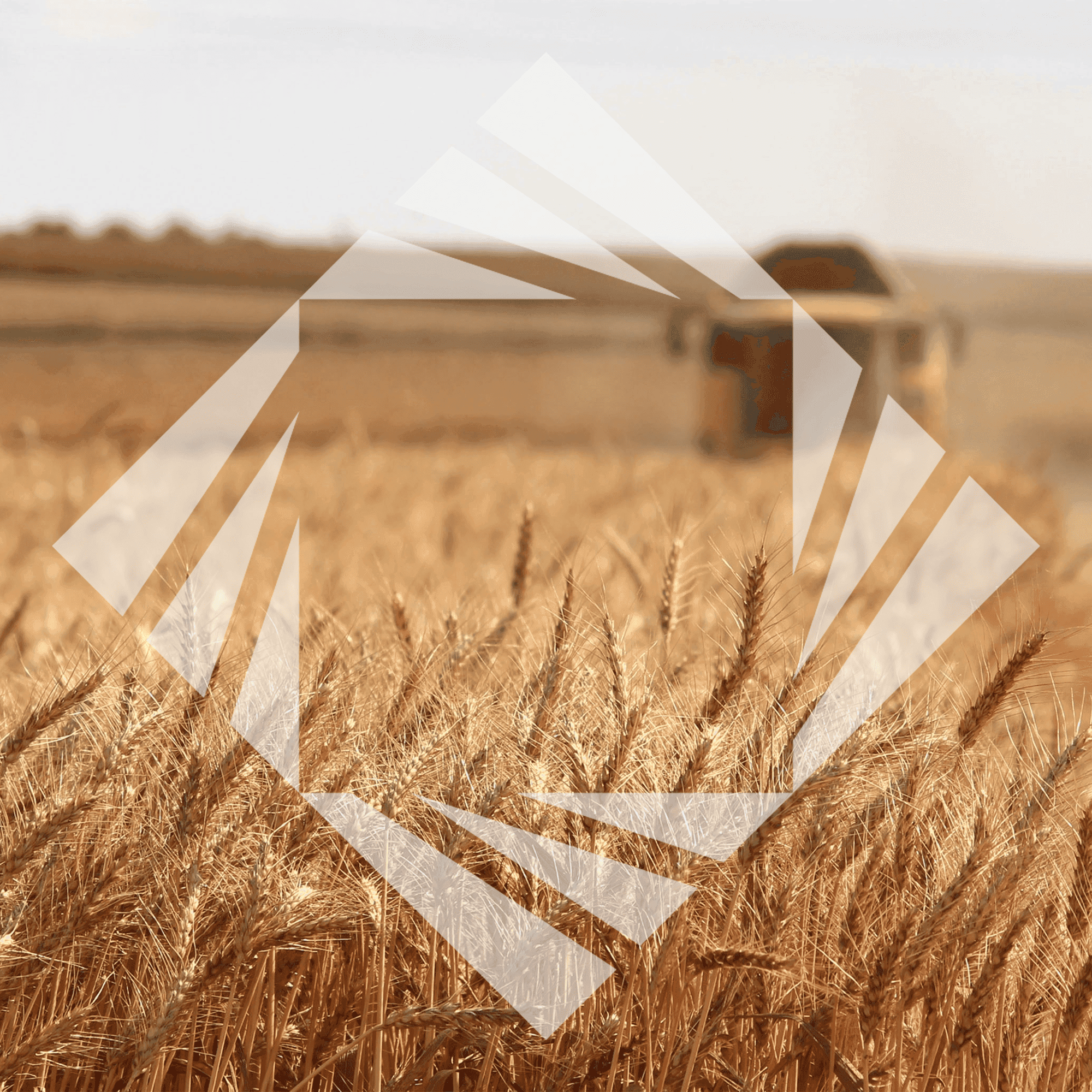 Stock photo with logo zeminvest