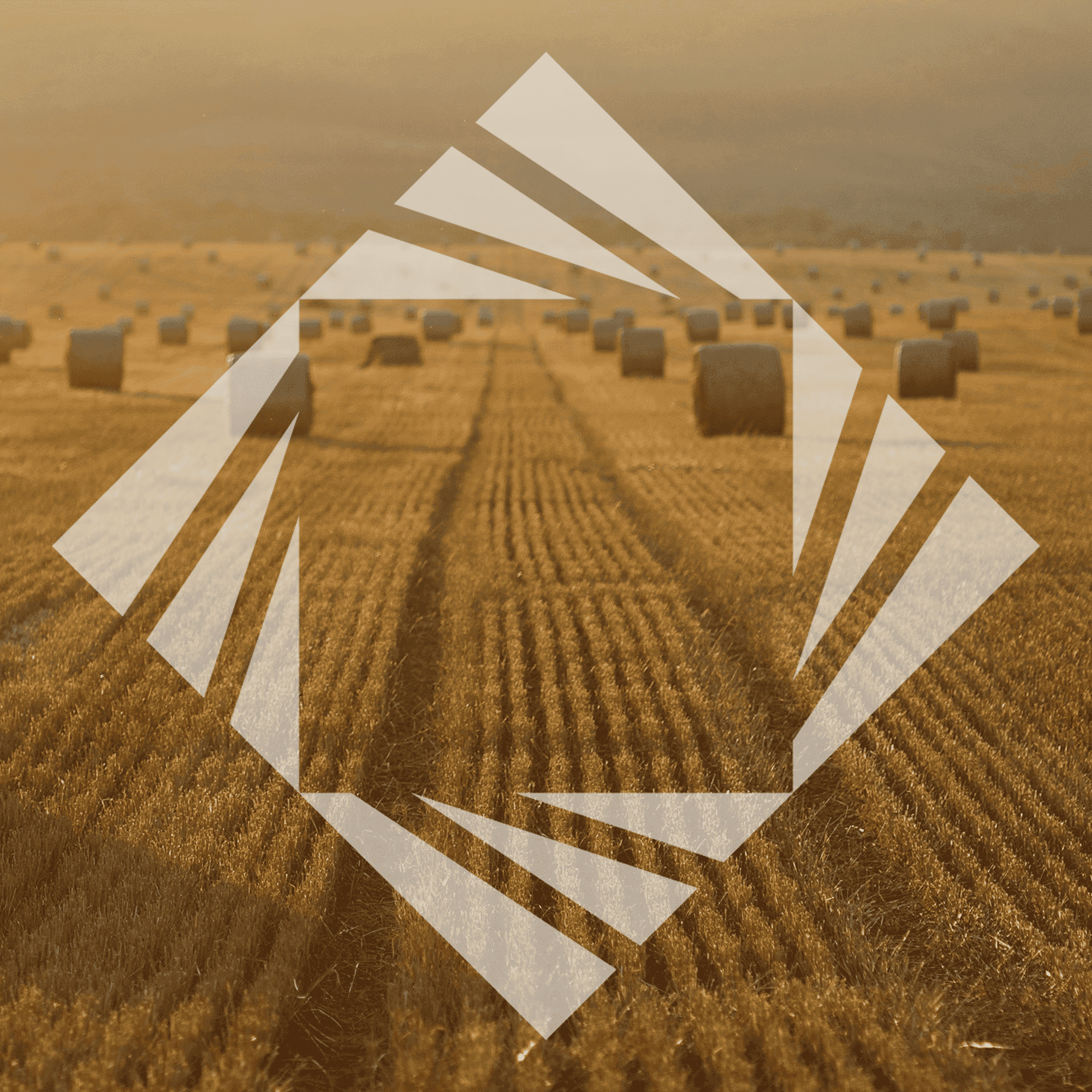 Stock photo with logo zeminvest