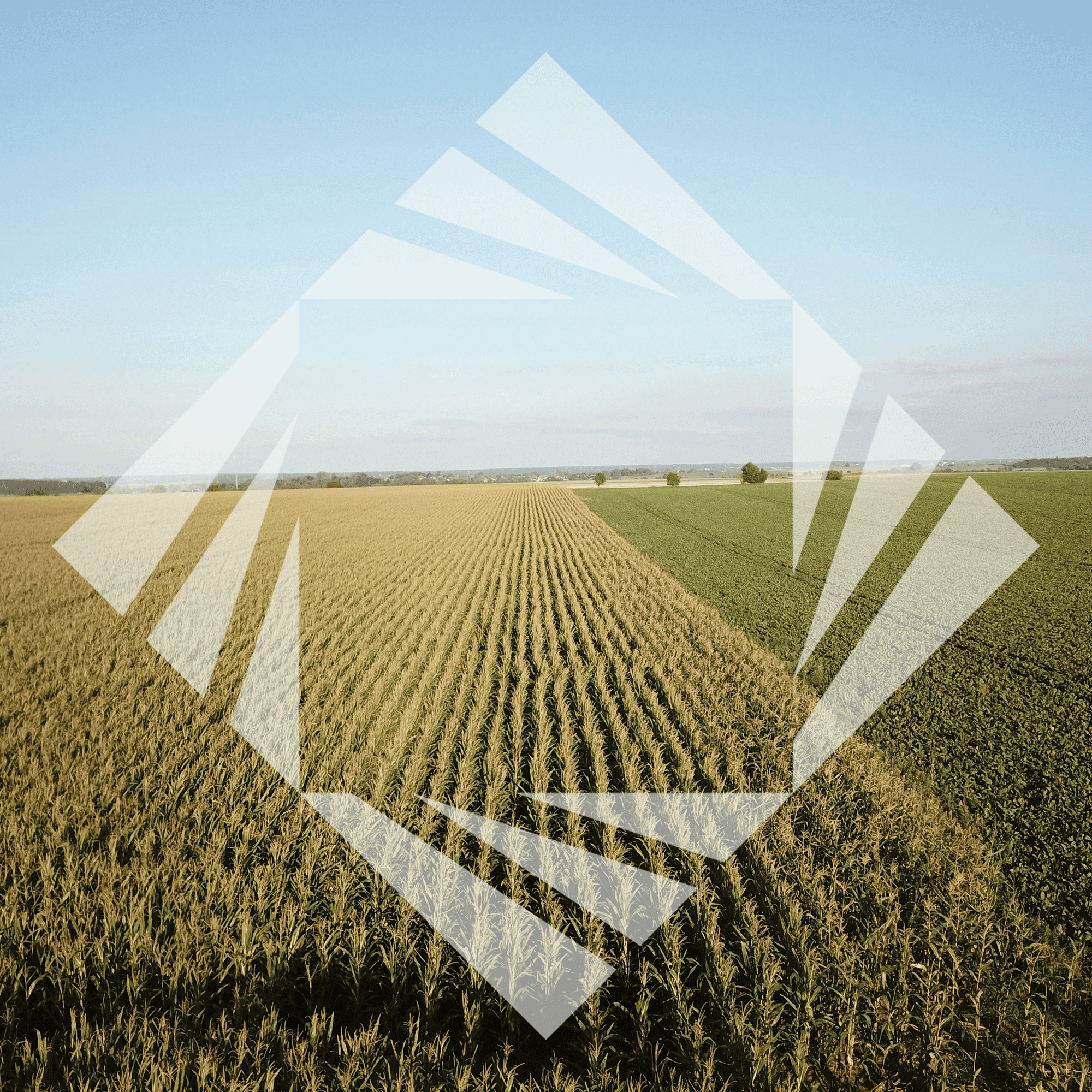 Stock photo with logo zeminvest