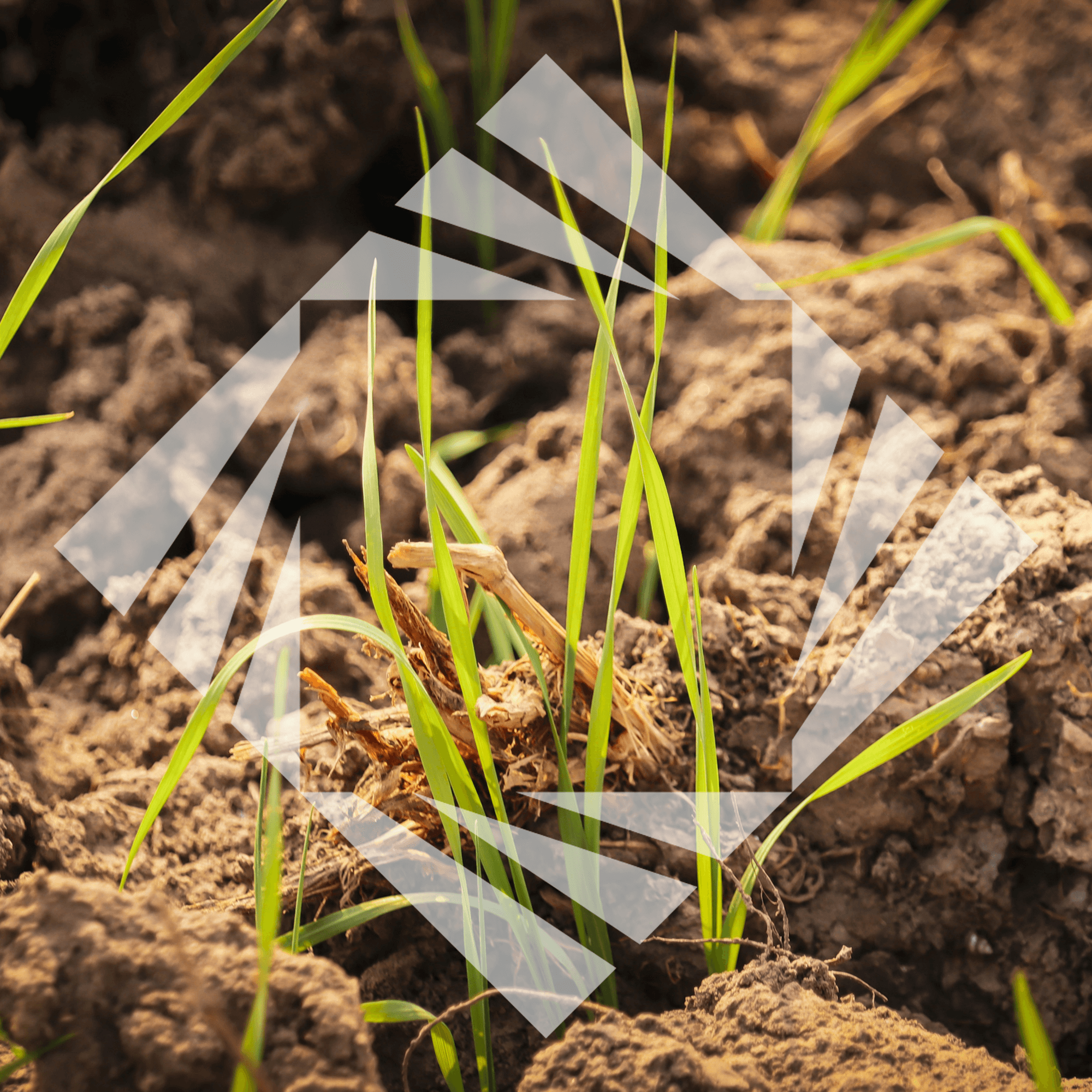 Stock photo with logo zeminvest