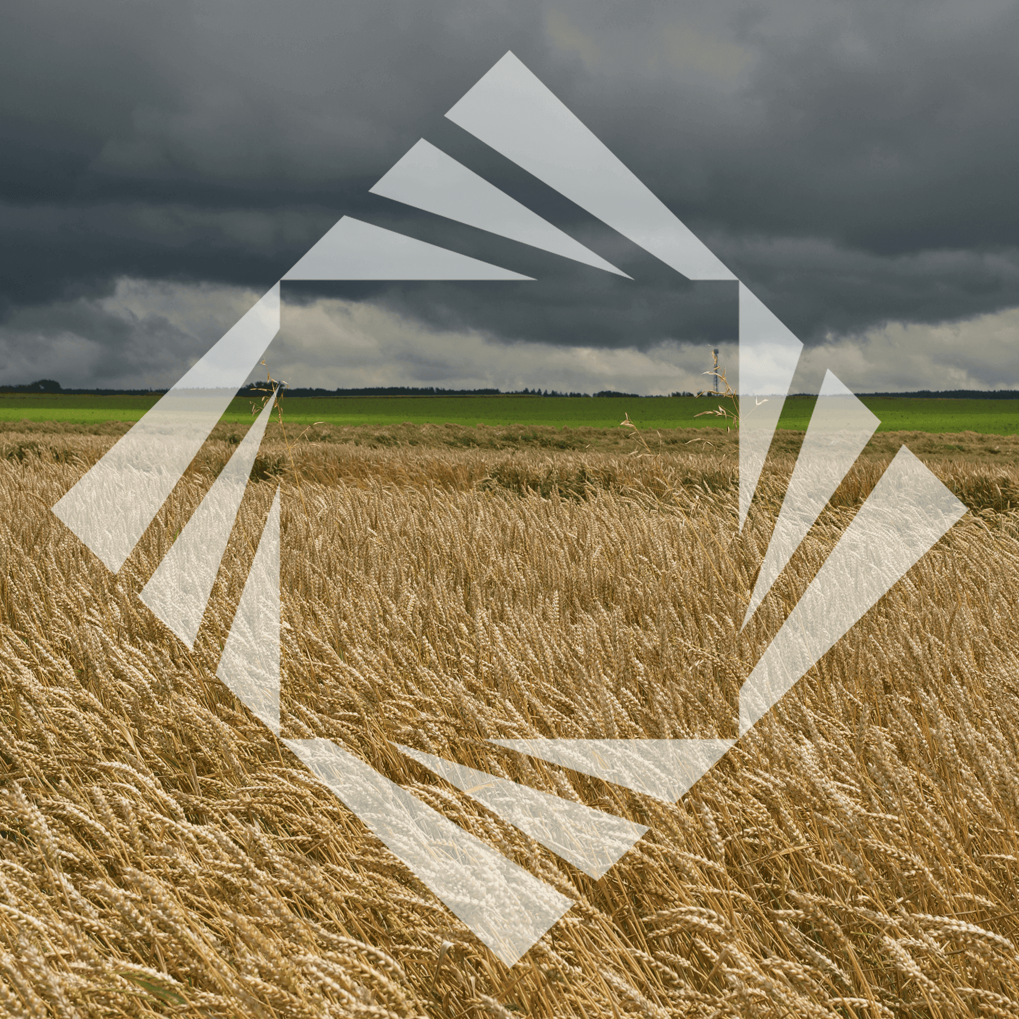 Stock photo with logo zeminvest