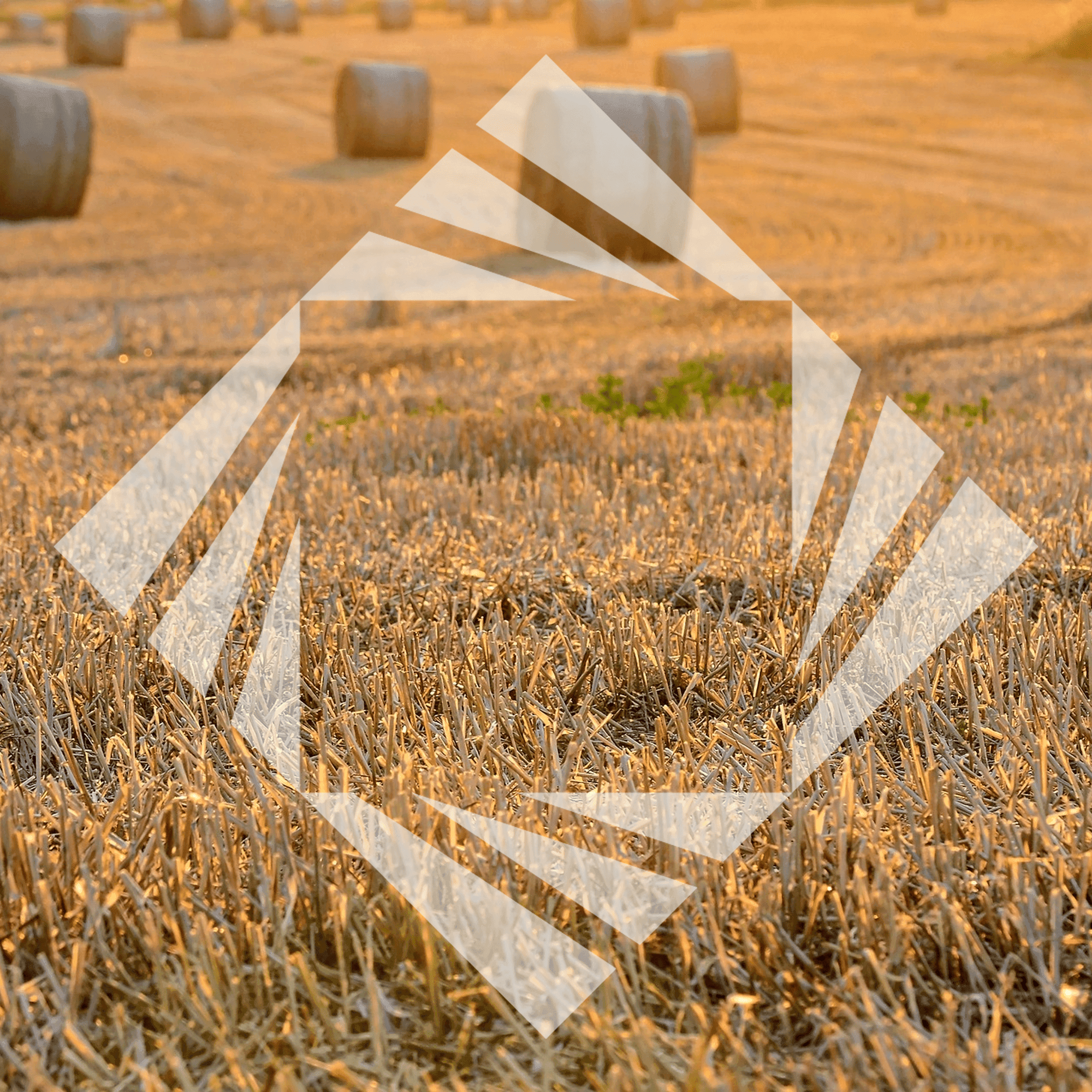 Stock photo with logo zeminvest