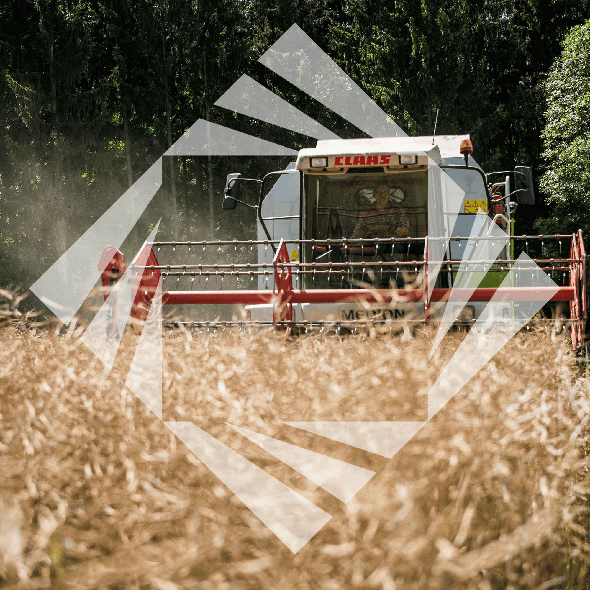 Stock photo with logo zeminvest