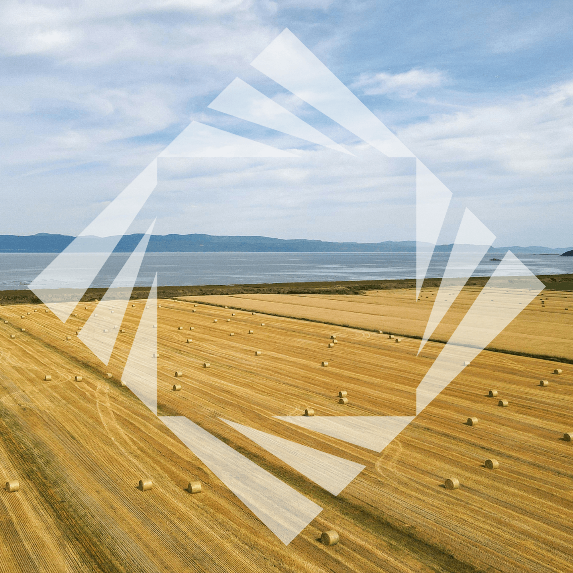 Stock photo with logo zeminvest