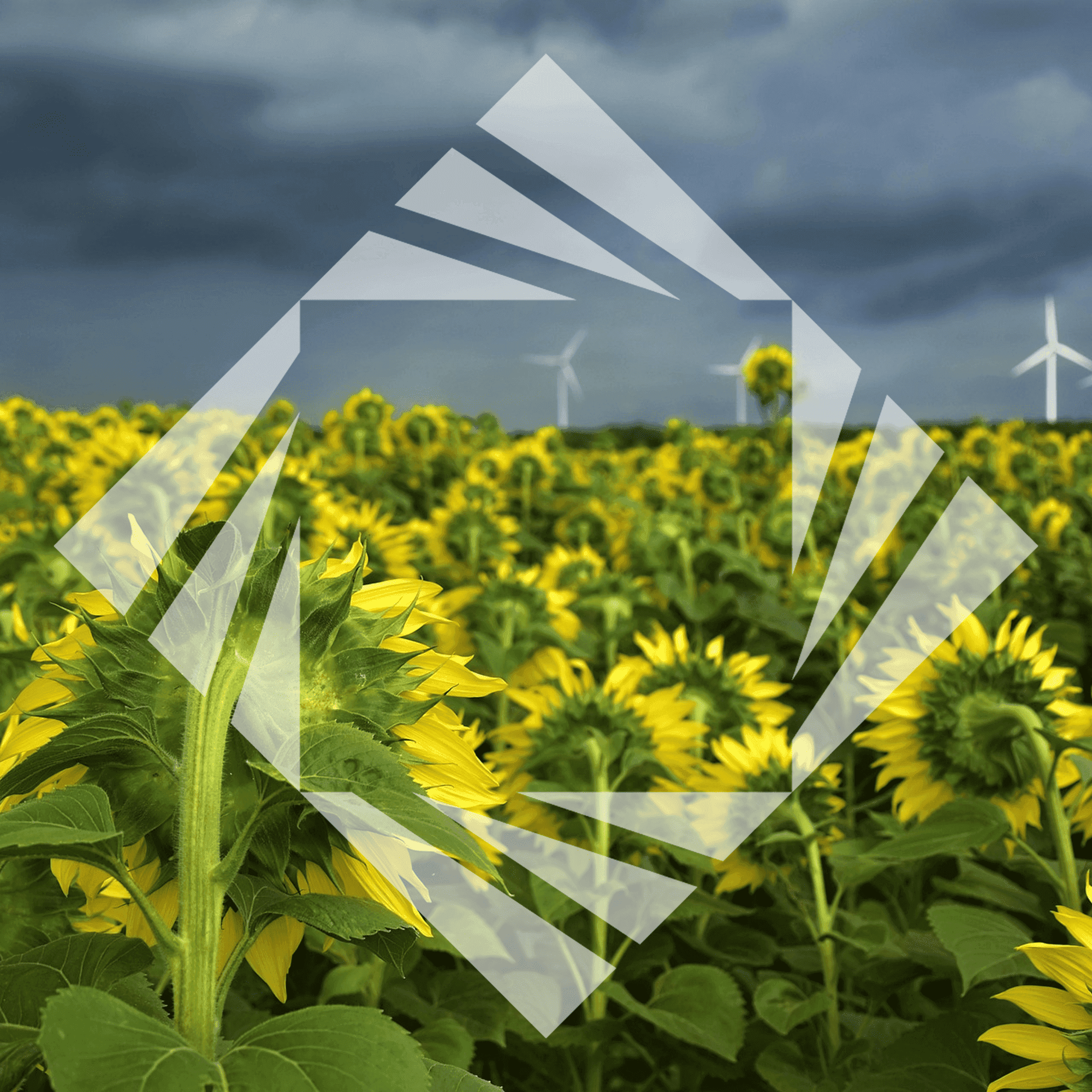 Stock photo with logo zeminvest