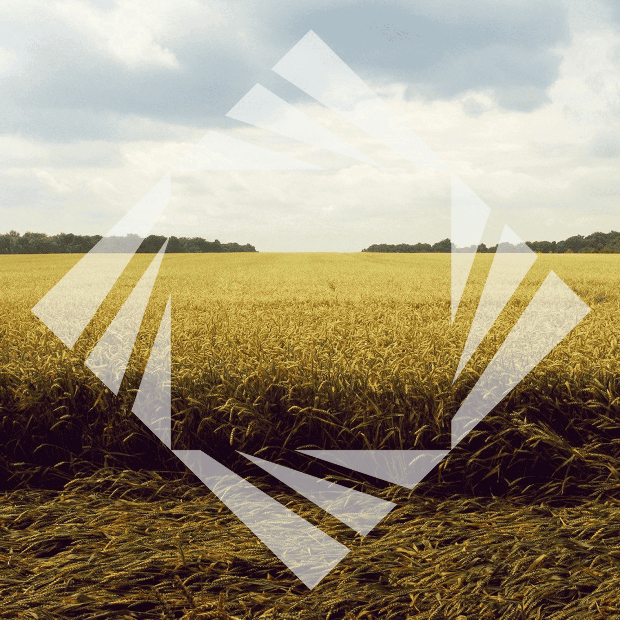 Stock photo with logo zeminvest