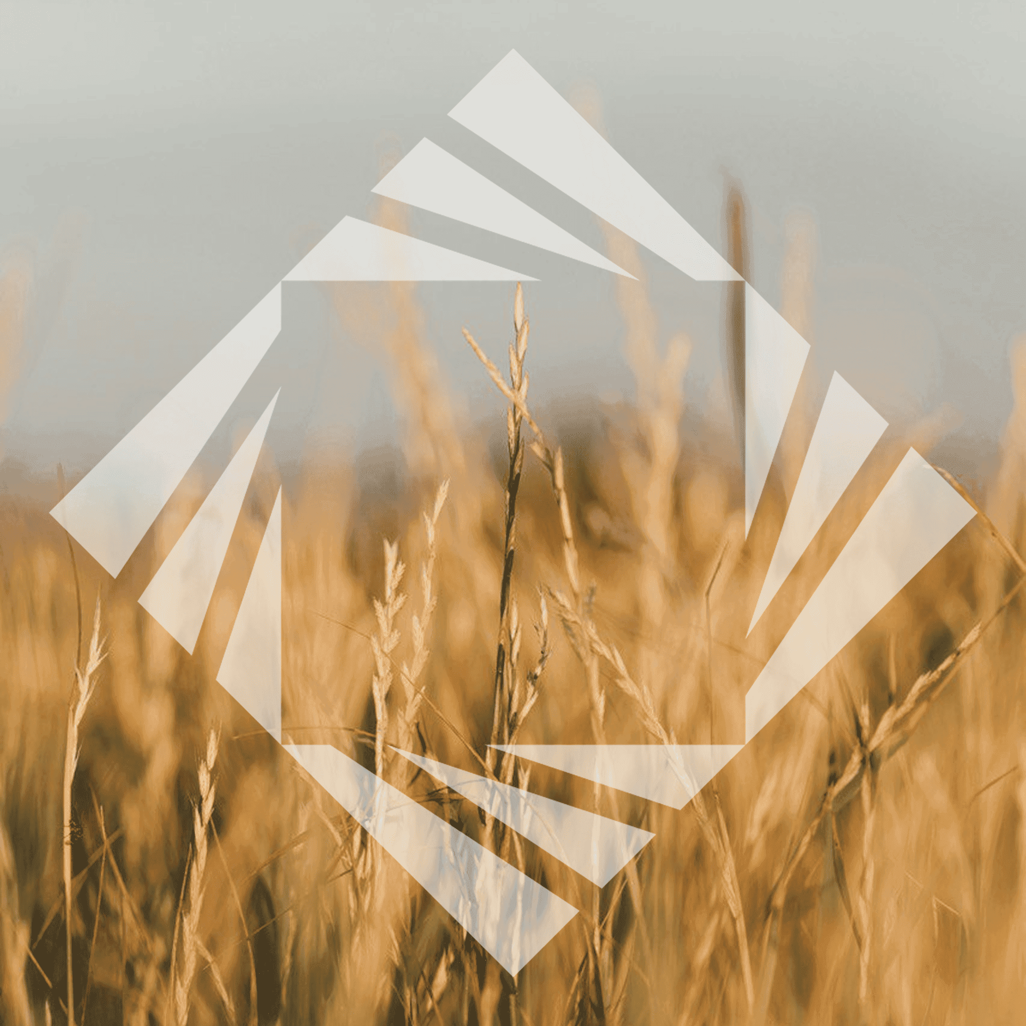 Stock photo with logo zeminvest