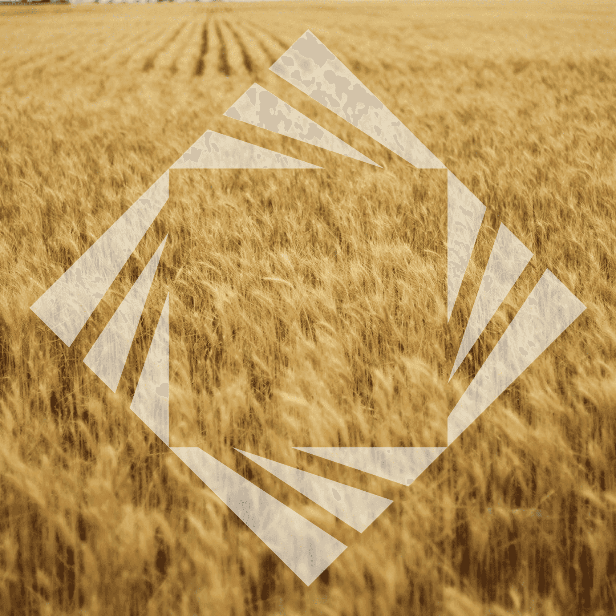 Stock photo with logo zeminvest