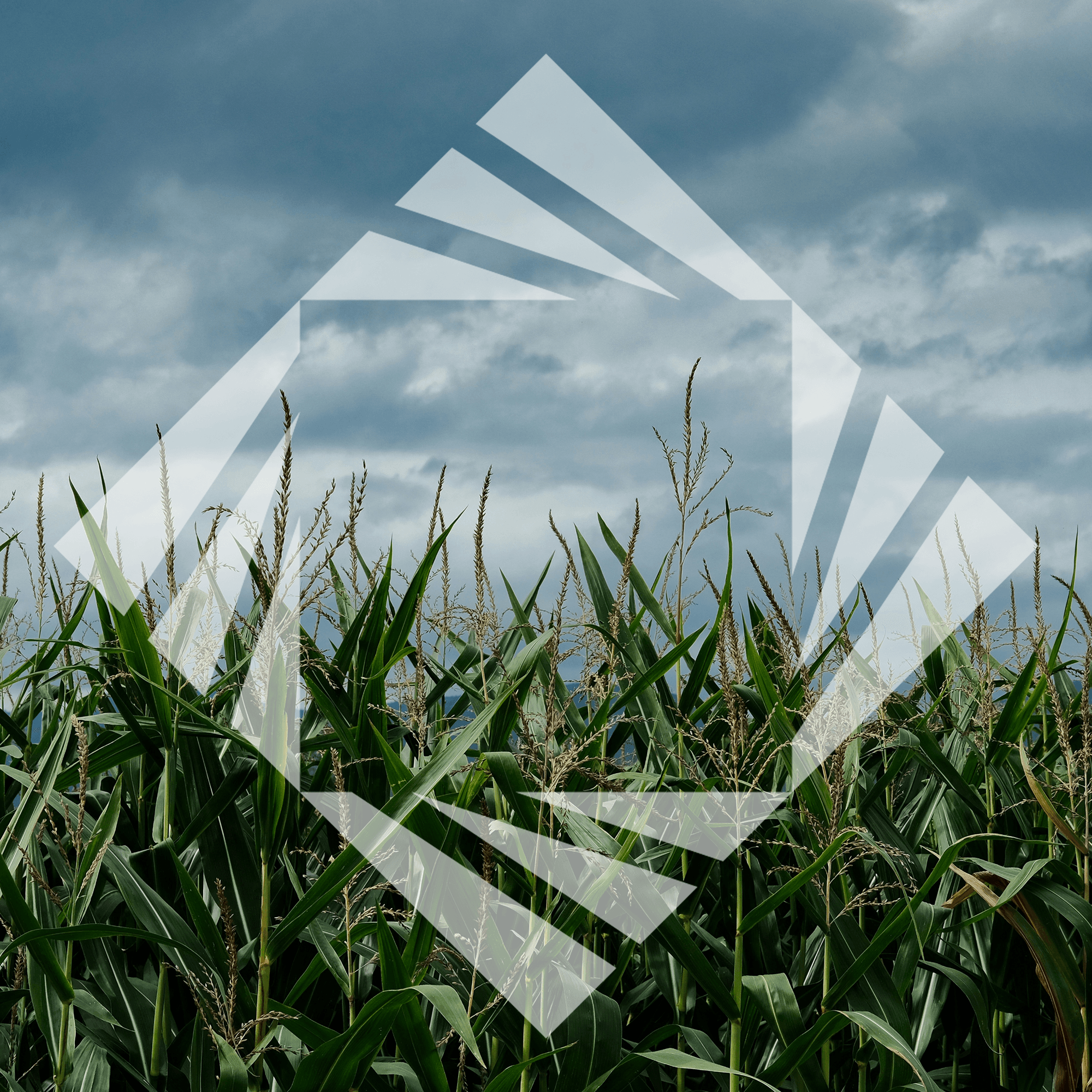 Stock photo with logo zeminvest