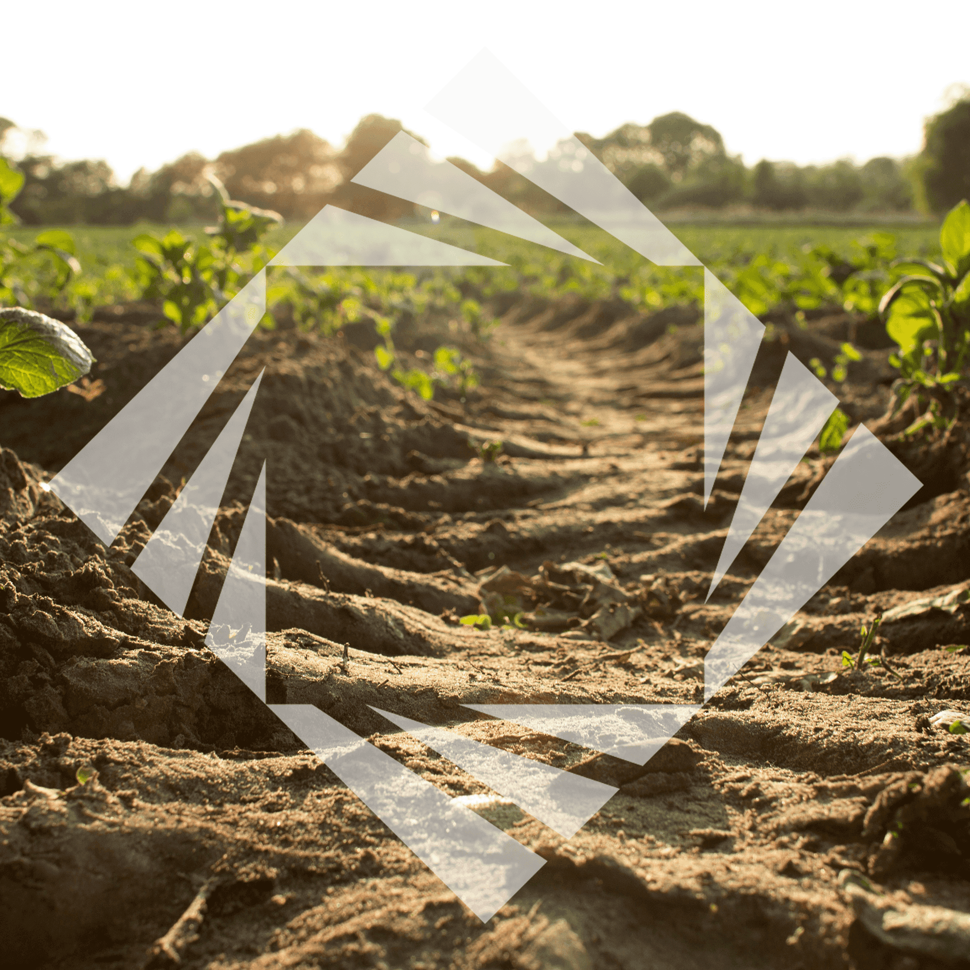 Stock photo with logo zeminvest