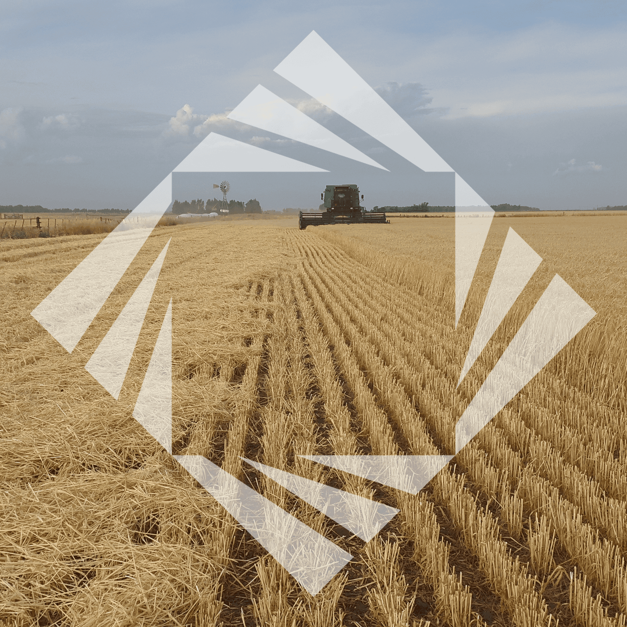 Stock photo with logo zeminvest