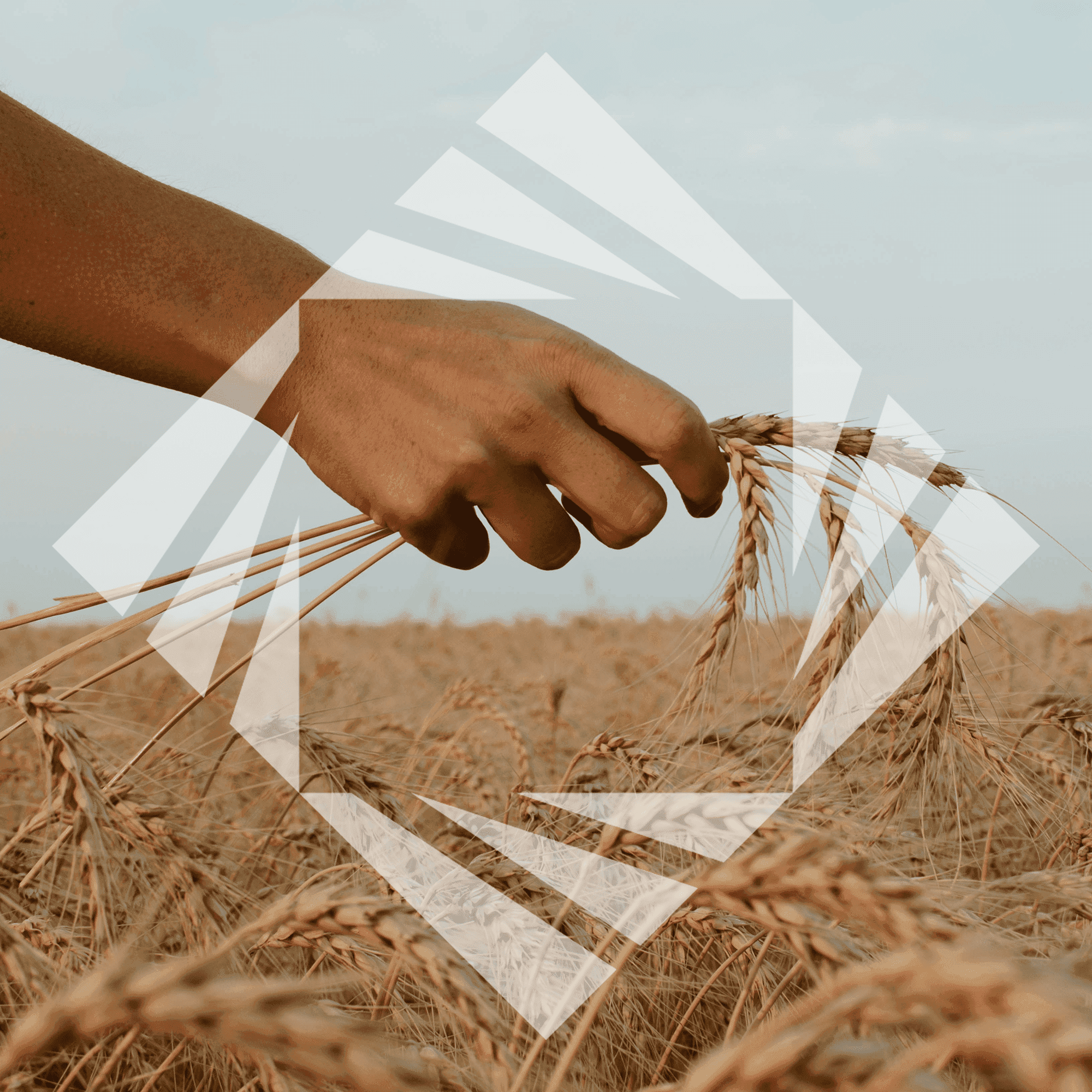 Stock photo with logo zeminvest